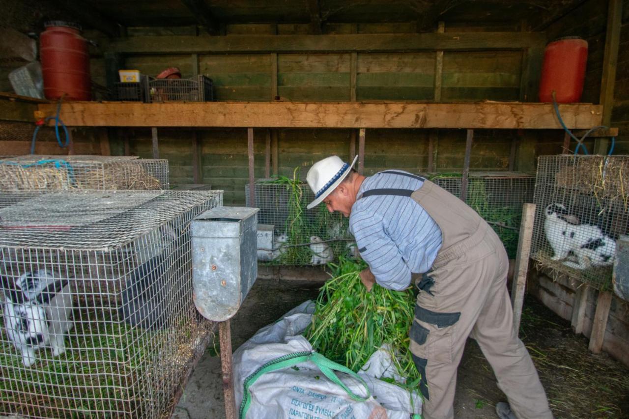 Loukas Farm House Agios Kirikos  Ngoại thất bức ảnh