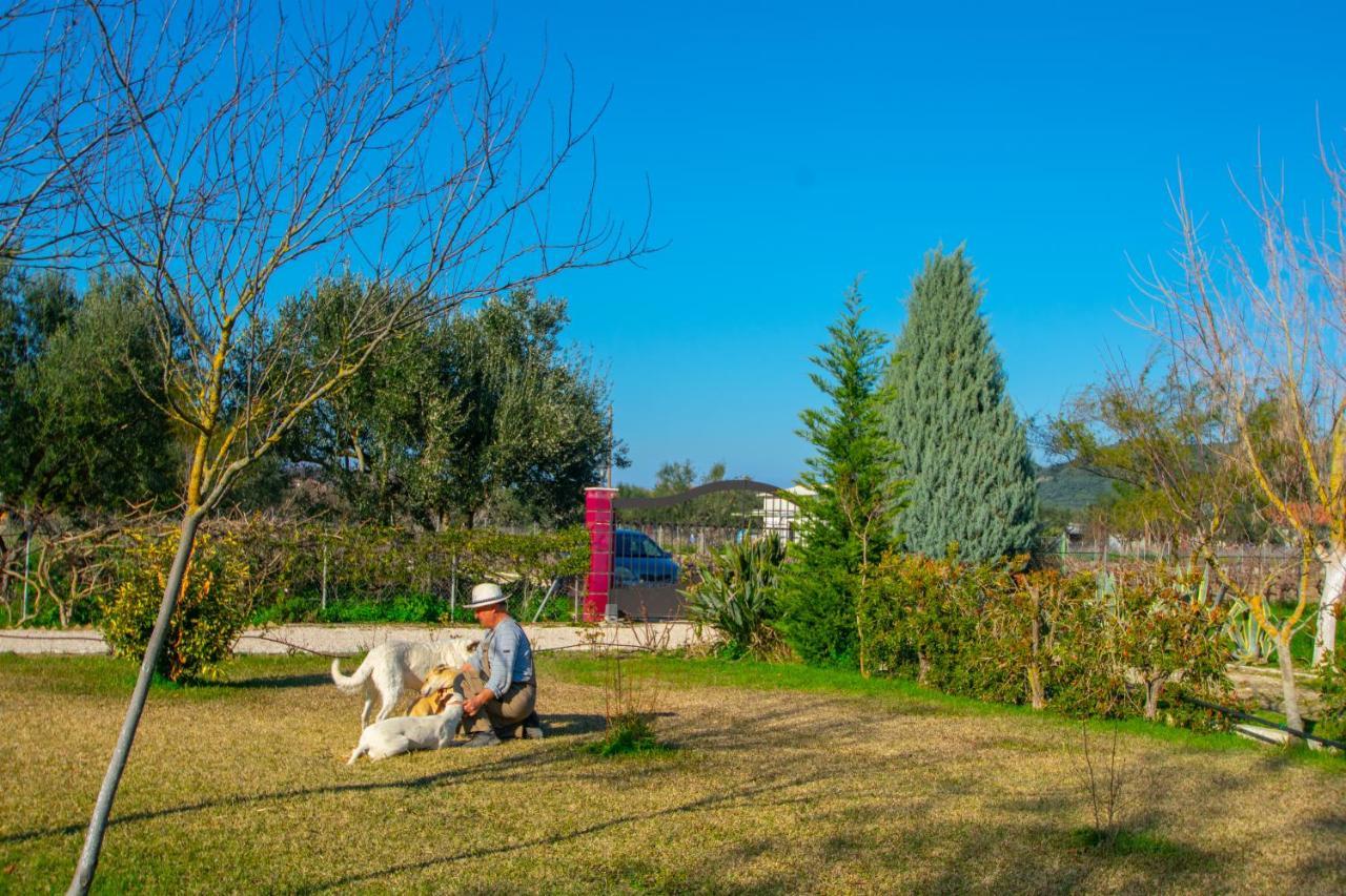 Loukas Farm House Agios Kirikos  Ngoại thất bức ảnh