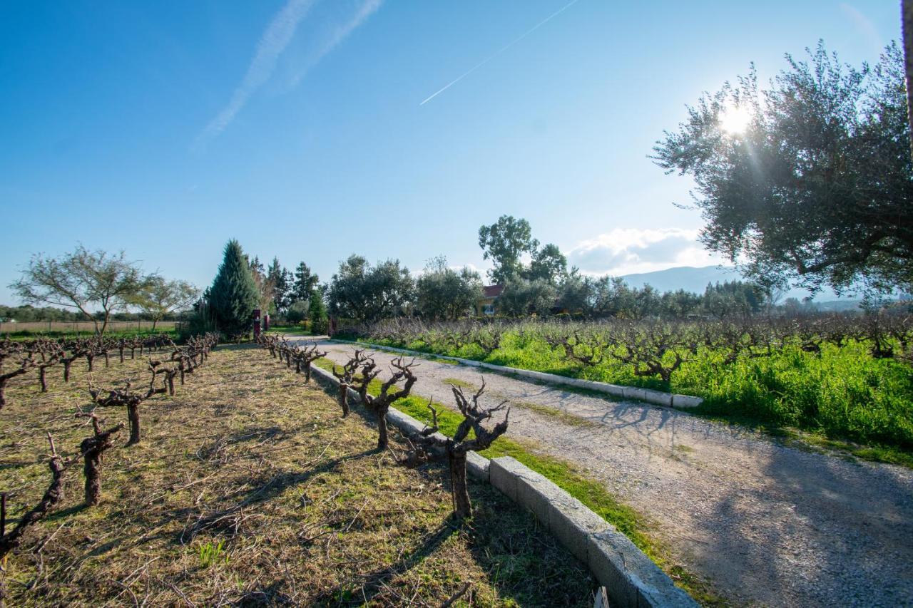 Loukas Farm House Agios Kirikos  Ngoại thất bức ảnh