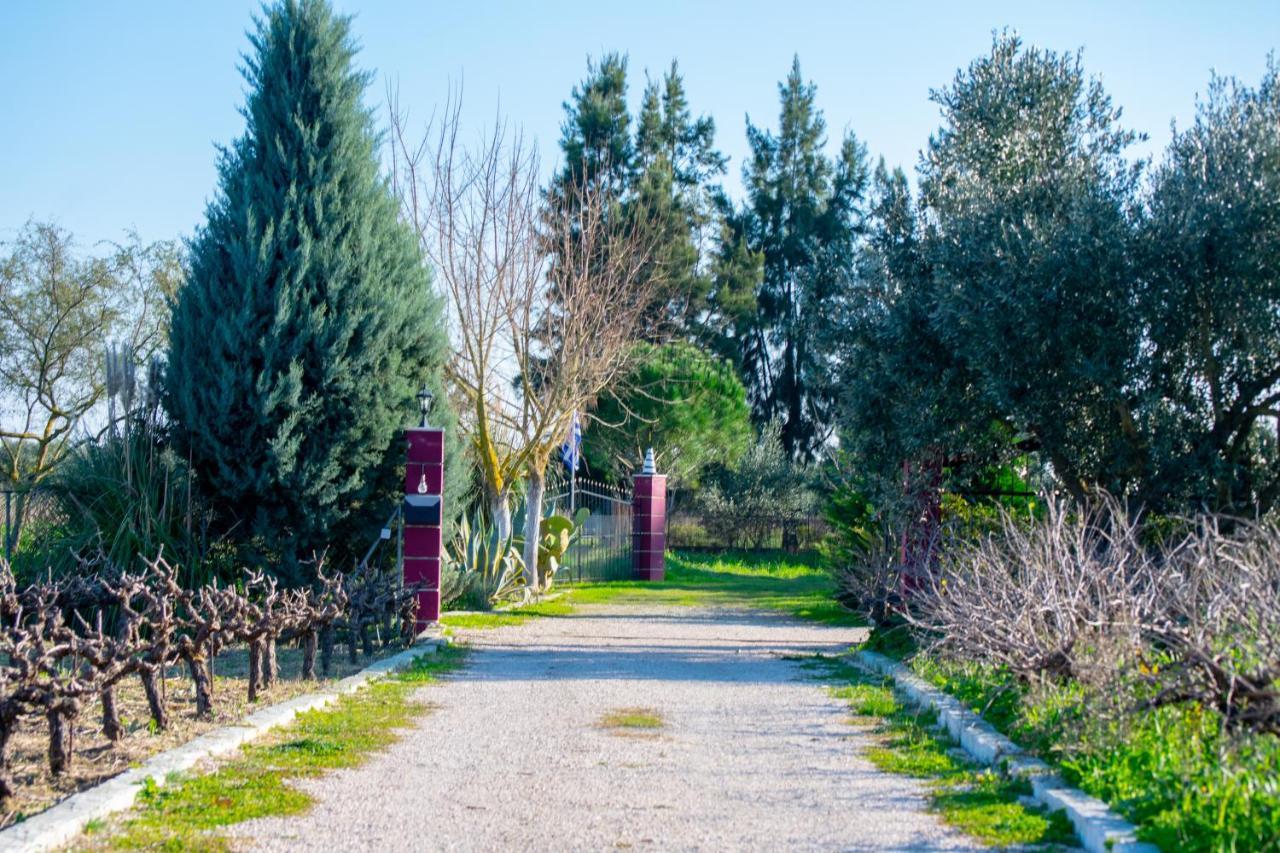 Loukas Farm House Agios Kirikos  Ngoại thất bức ảnh
