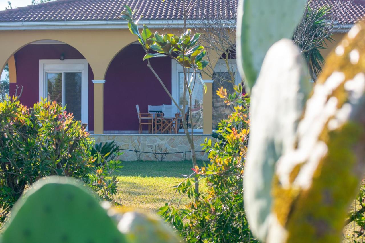 Loukas Farm House Agios Kirikos  Ngoại thất bức ảnh